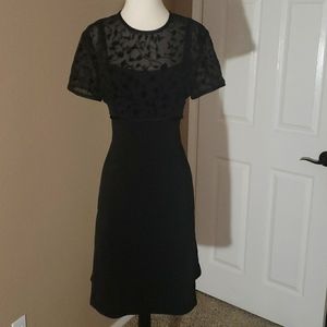 Donna Ricco Black Dress Size 8